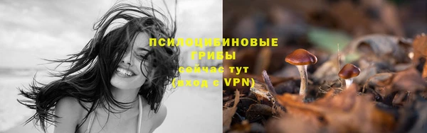 прущая мука Арсеньев