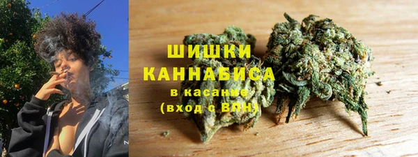 прущая мука Арсеньев