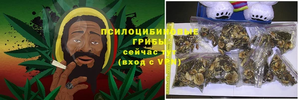 амф Богородск