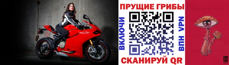 Галлюциногенные грибы мухоморы  Димитровград 